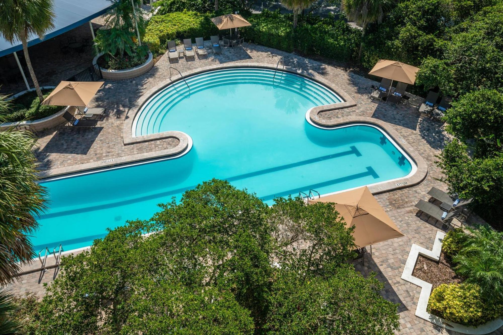 Sheraton Tampa Brandon Mango