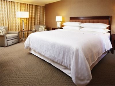 Hotel Sheraton Tampa Brandon 3*