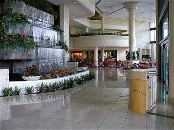 Sheraton Tampa Brandon 3* Mango