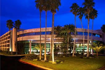 Sheraton Brandon Hotel Tampa