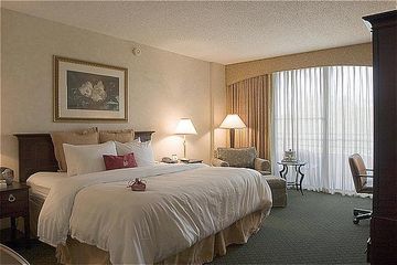 Sheraton Brandon Hotel Tampa