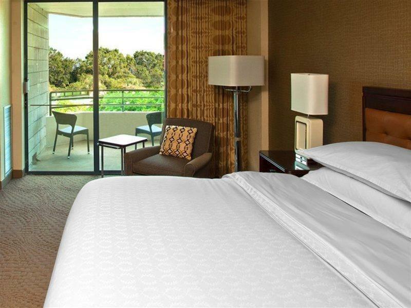 Sheraton Tampa Brandon Hotel Mango